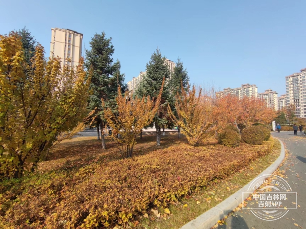 10.27.1.jpg 10.27.1.jpg