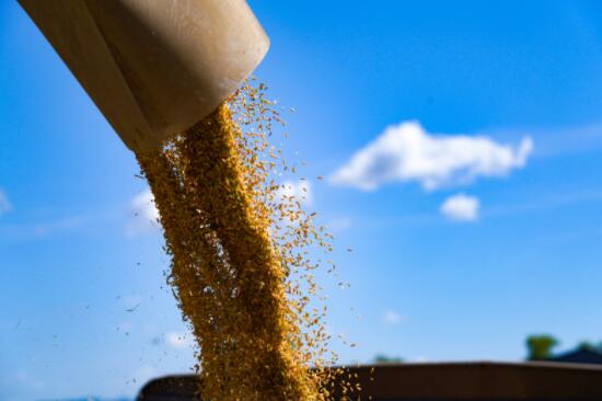 QQ截图20240822152807.jpg QQ截图20240822152807.jpg