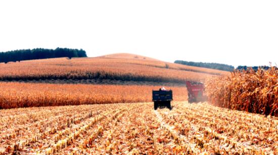 QQ截图20240822152939.jpg QQ截图20240822152939.jpg