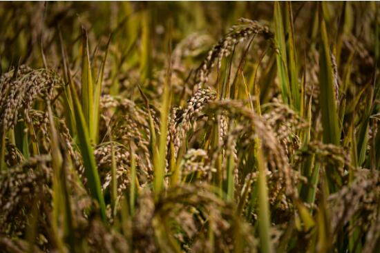 QQ截图20240822153020.jpg QQ截图20240822153020.jpg