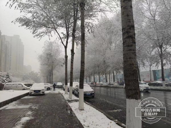 微信图片_20231101164425.jpg 微信图片_20231101164425.jpg