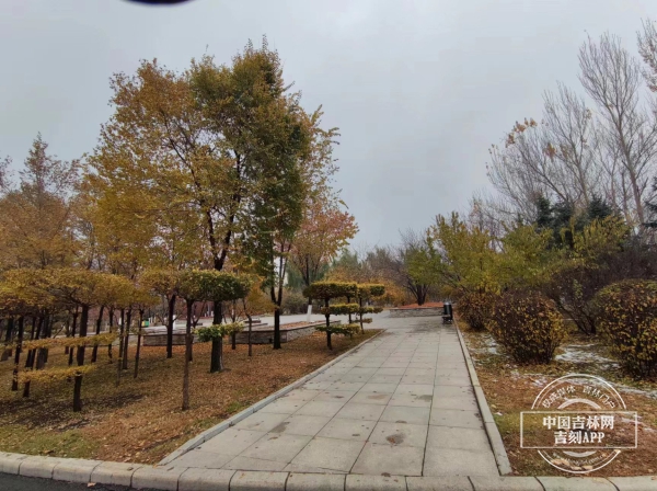 微信图片_20231101164431.jpg 微信图片_20231101164431.jpg