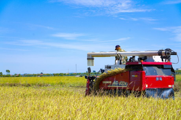 中国生态稻米之乡——舒兰 “好米变名米 名米卖好价”2500.png