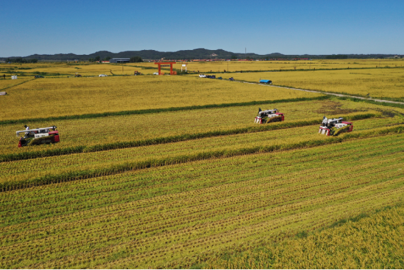 中国生态稻米之乡——舒兰 “好米变名米 名米卖好价”21238.png