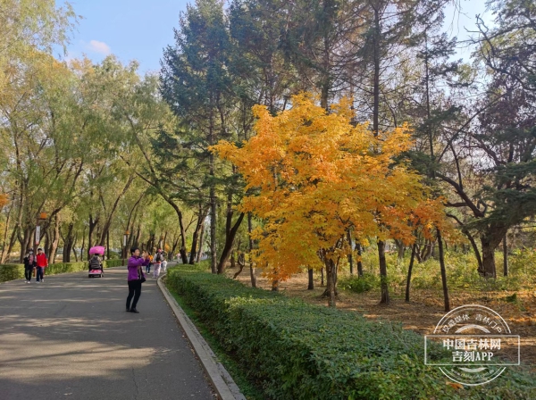 微信图片_20231206134133.jpg 微信图片_20231206134133.jpg