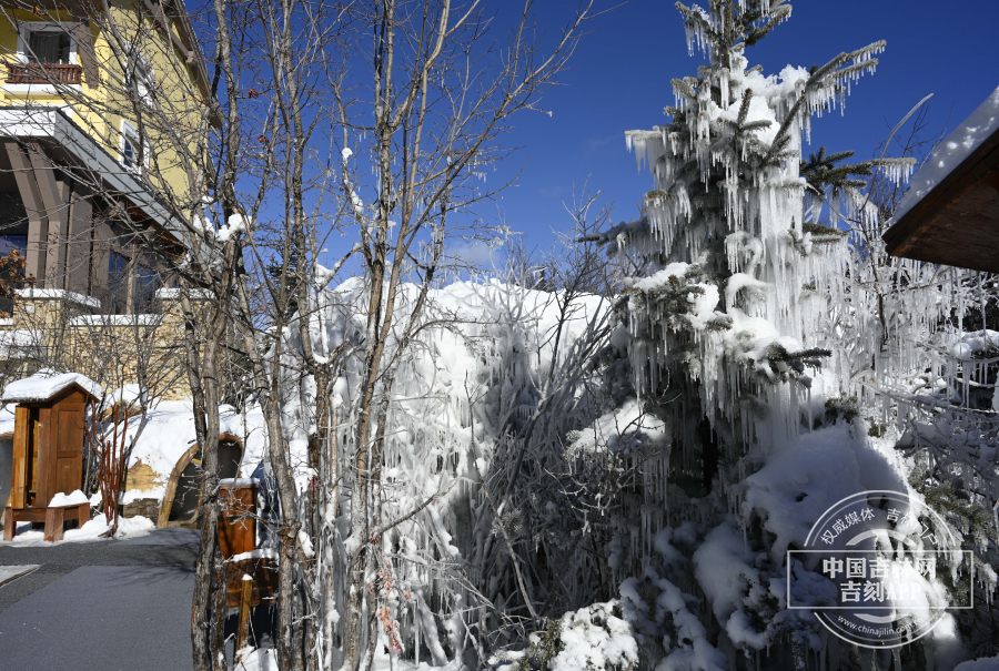 _GUO1879.jpg _GUO1879.jpg