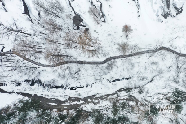 9776398D-3D5A-4BE5-840A-DCF8838E75DF.jpeg 9776398D-3D5A-4BE5-840A-DCF8838E75DF.jpeg