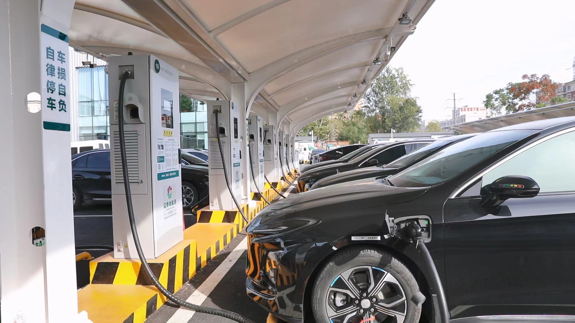 微信图片_20231212175217.jpg 微信图片_20231212175217.jpg