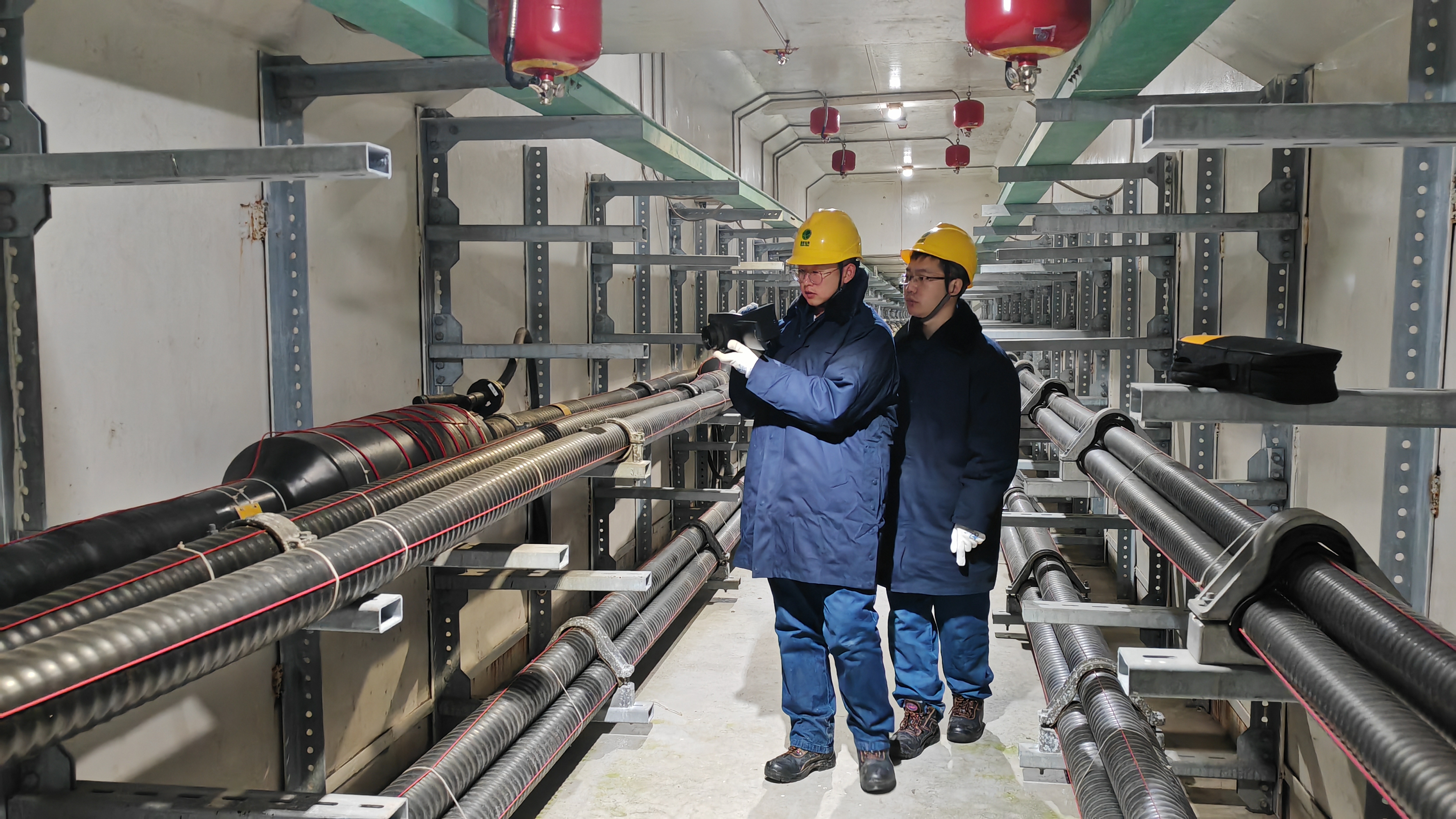 微信图片_20231212175223.jpg 微信图片_20231212175223.jpg