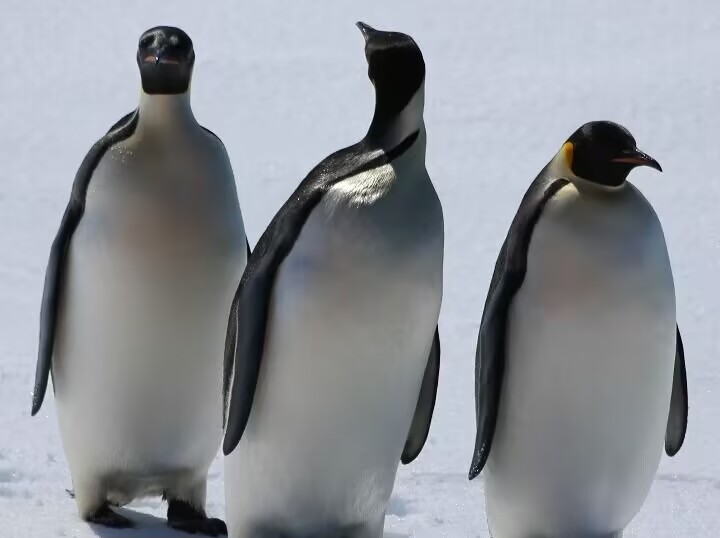 QQ图片20231229215648.jpg QQ图片20231229215648.jpg