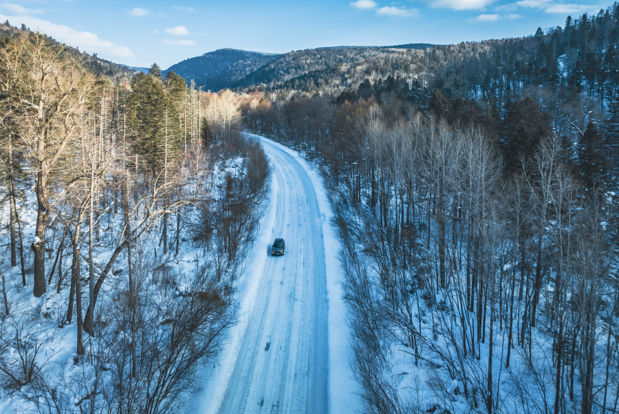 图虫创意-1773887017320972331.jpeg 图虫创意-1773887017320972331.jpeg