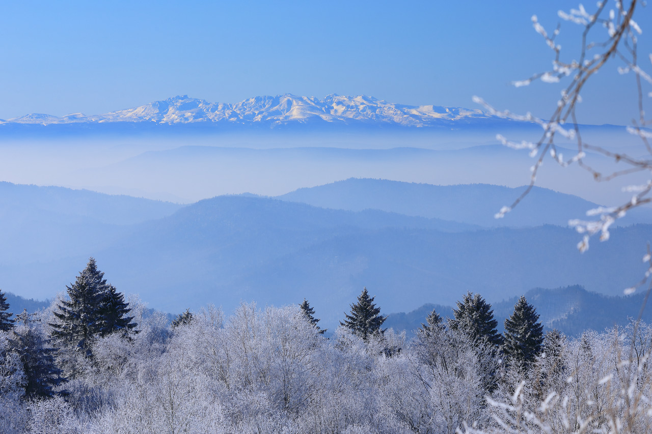 图虫创意-1395476913700339721.jpeg 图虫创意-1395476913700339721.jpeg