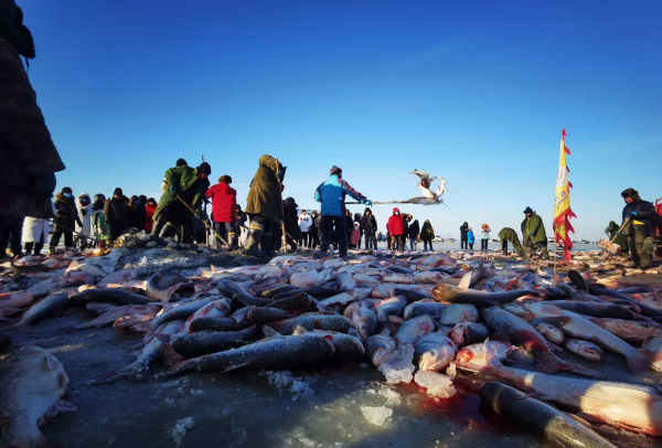 b04ec0d48b669df5035947262488c3e.png b04ec0d48b669df5035947262488c3e.png