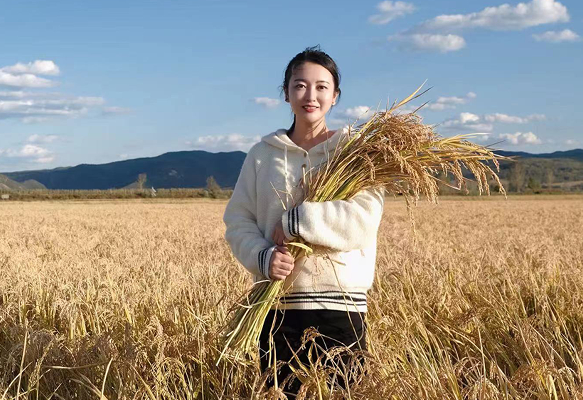 图片1.jpg 图片1.jpg