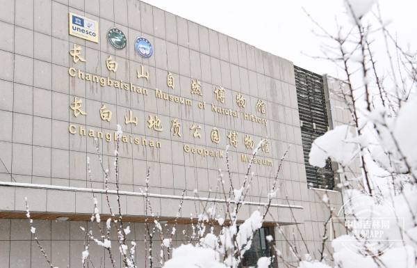 微信图片_20240329182440.jpg 微信图片_20240329182440.jpg