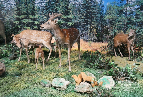 微信图片_20240329182504.jpg 微信图片_20240329182504.jpg