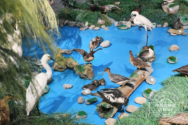 微信图片_20240329182519.jpg 微信图片_20240329182519.jpg