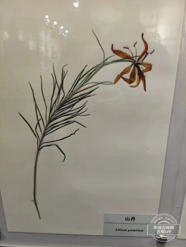 微信图片_20240329194033.jpg 微信图片_20240329194033.jpg