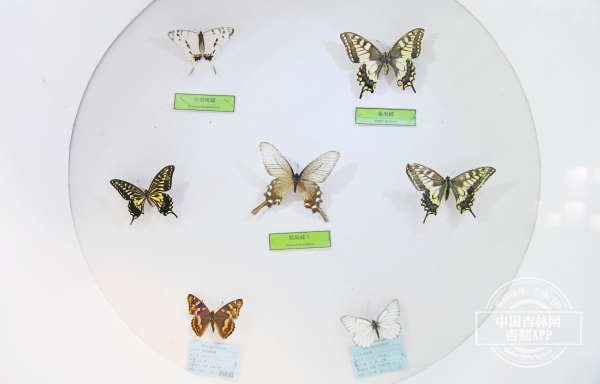 微信图片_20240329182525.jpg 微信图片_20240329182525.jpg