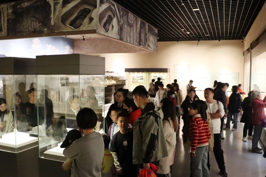 99359BEC-5ED6-48F9-8442-B75F0368FCBD.jpeg 99359BEC-5ED6-48F9-8442-B75F0368FCBD.jpeg