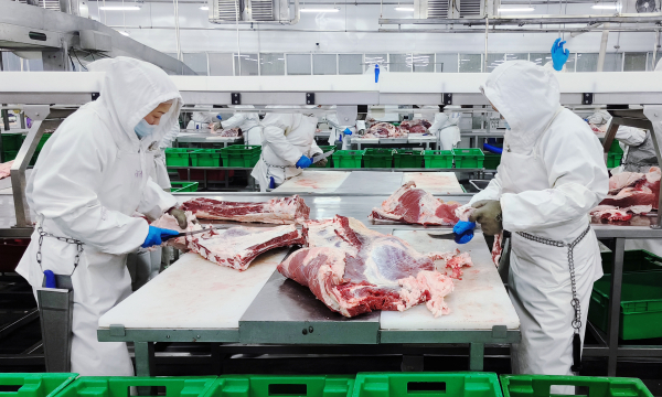 微信图片_20240422132004.jpg 微信图片_20240422132004.jpg