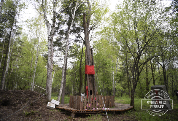 图片3.jpg 图片3.jpg