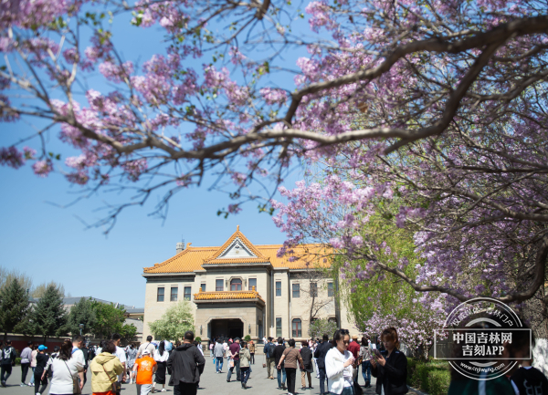 微信图片_20240501165839.jpg 微信图片_20240501165839.jpg