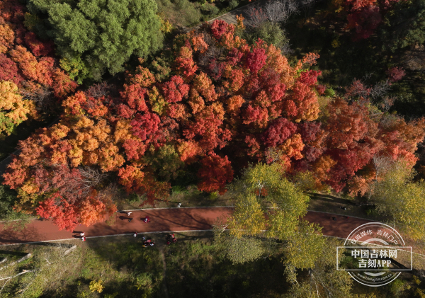 W020231020645176893150.jpeg W020231020645176893150.jpeg