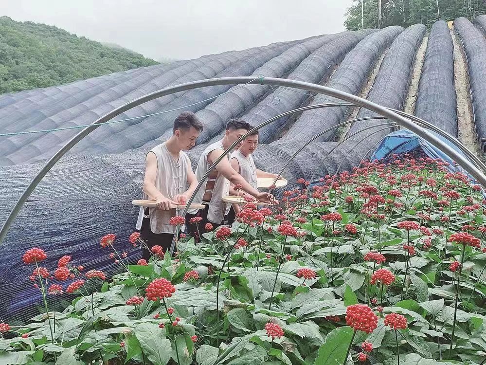 微信图片_20240506155923.jpg 微信图片_20240506155923.jpg