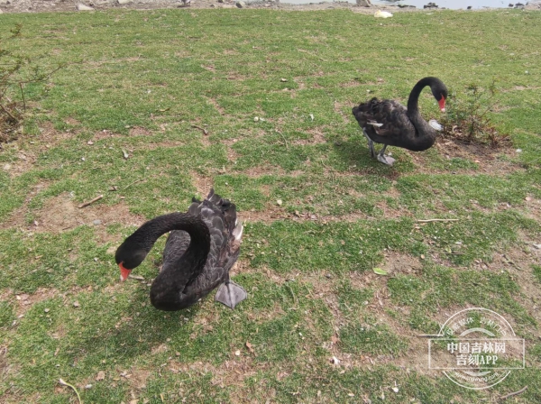 微信图片_20240513140655.jpg 微信图片_20240513140655.jpg