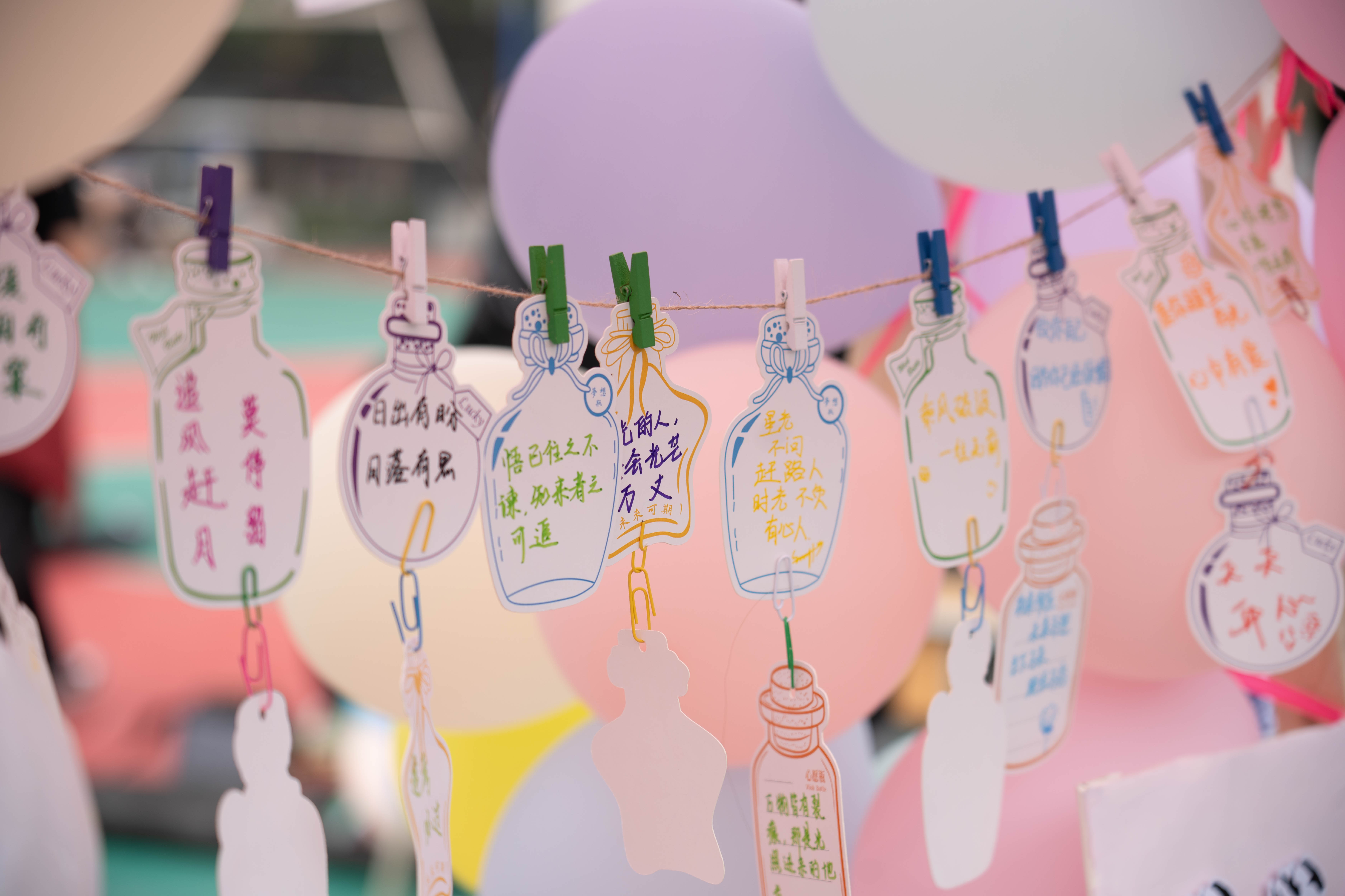 DSC00519.jpg DSC00519.jpg