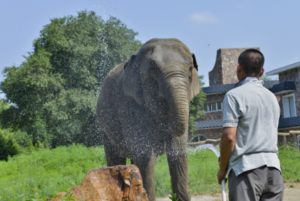 QQ图片20240526171737.jpg QQ图片20240526171737.jpg