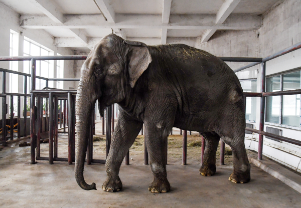 QQ图片20240526170048.jpg QQ图片20240526170048.jpg