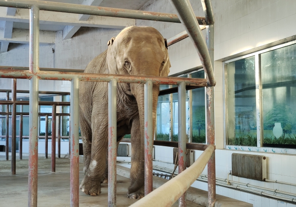 QQ图片20240526171732.jpg QQ图片20240526171732.jpg