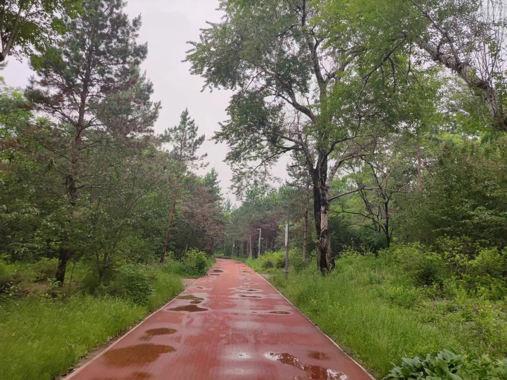 微信图片_20240601132249.jpg 微信图片_20240601132249.jpg