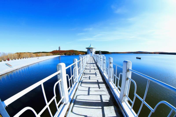 mmexport1717398272132.jpg mmexport1717398272132.jpg