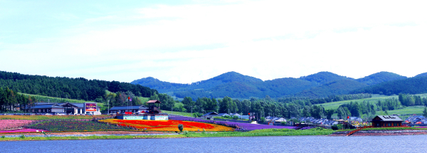 6.3333.jpg 6.3333.jpg