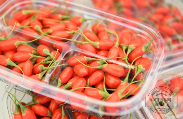 9d9d9784b8528875d32daf1e4e751dc5_.jpg 9d9d9784b8528875d32daf1e4e751dc5_.jpg