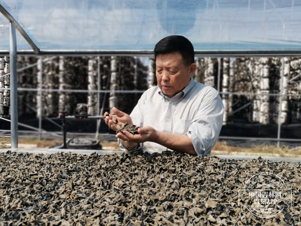 微信图片_20240624164053.jpg 微信图片_20240624164053.jpg