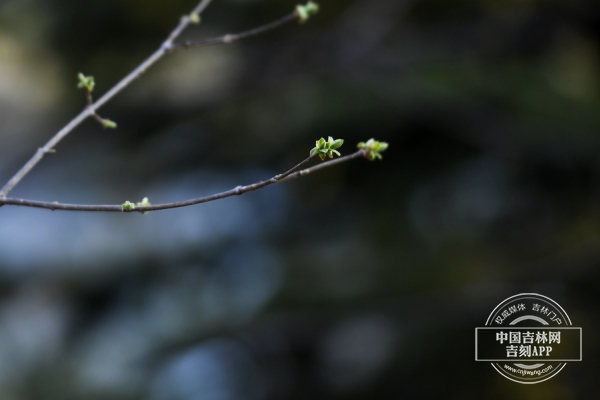 d7368829f913e008284a2663085a5cd6_W020240408539684357534.jpg d7368829f913e008284a2663085a5cd6_W020240408539684357534.jpg