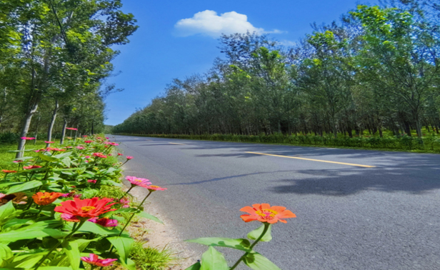 双辽市十卧公路.jpg 双辽市十卧公路.jpg