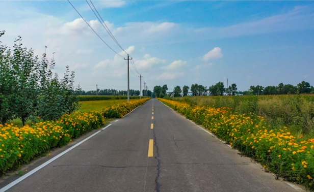 镇赉县乡道黑鱼泡至索龙公路.jpg 镇赉县乡道黑鱼泡至索龙公路.jpg