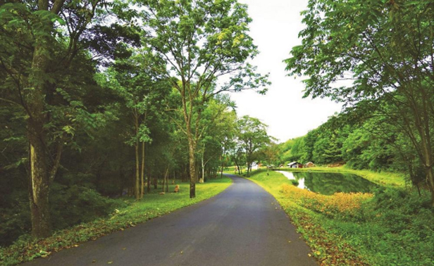 通化县乡道光华至大安环线.jpg 通化县乡道光华至大安环线.jpg