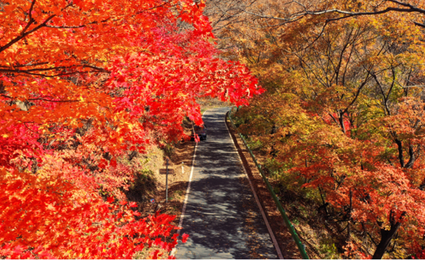 集安市县道财榆公路.jpg 集安市县道财榆公路.jpg