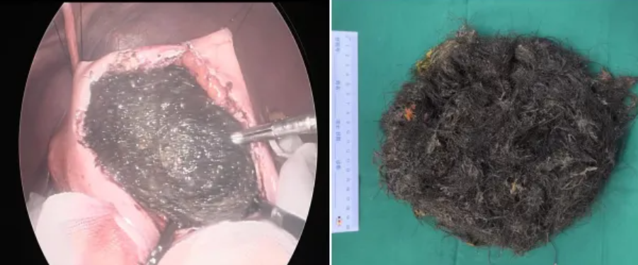 微信图片_20240709153007.png 微信图片_20240709153007.png