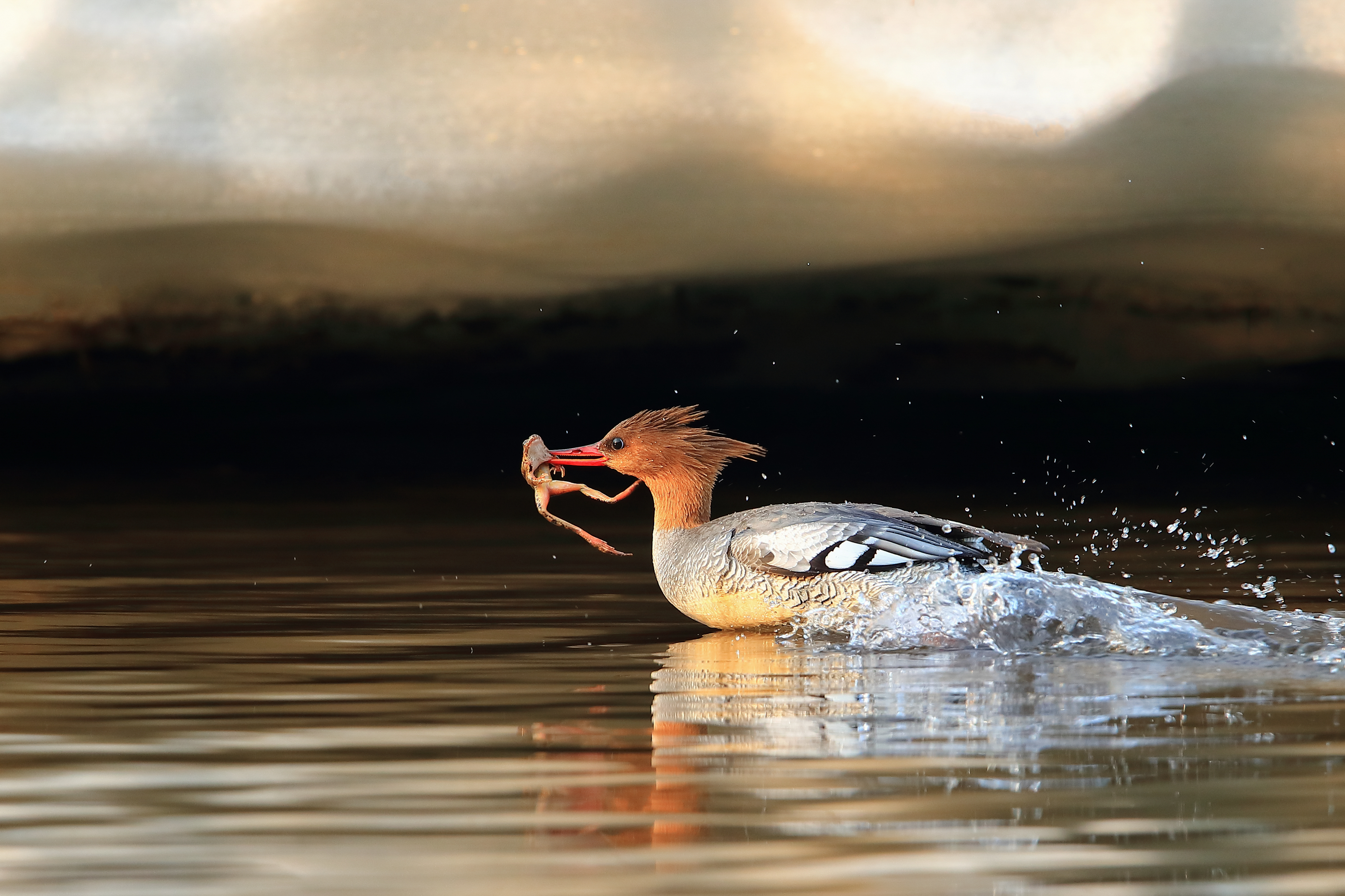 图虫创意-1298867594330374147.jpeg 图虫创意-1298867594330374147.jpeg