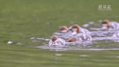 QQ图片20240712220048.gif QQ图片20240712220048.gif