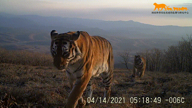 W020240422821715754875.gif W020240422821715754875.gif