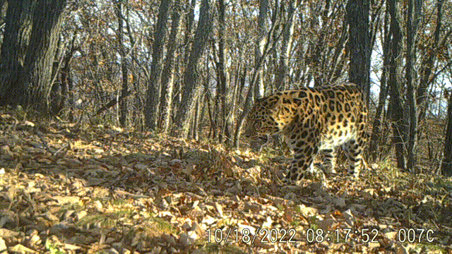 W020240422821713807472.gif W020240422821713807472.gif