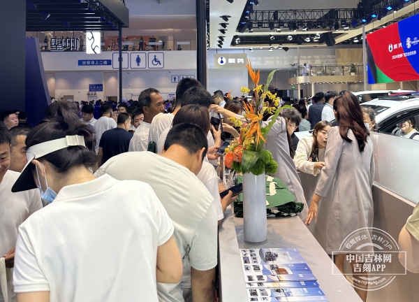 IMG_8100.jpeg IMG_8100.jpeg